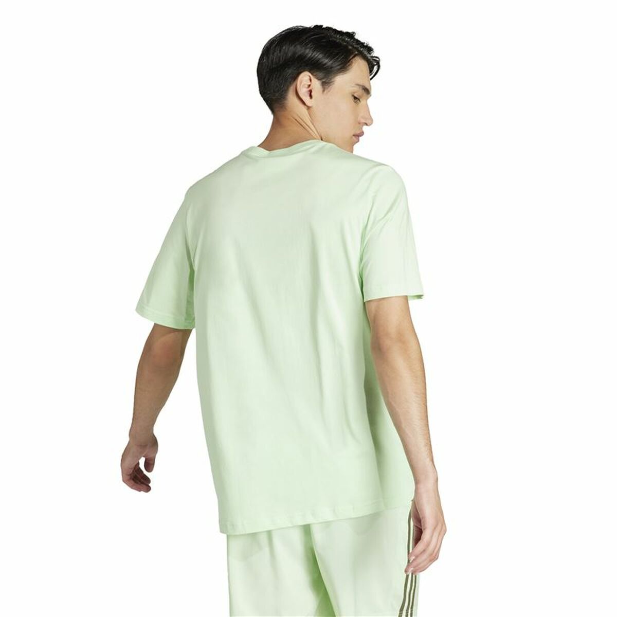 Men’s Short Sleeve T-Shirt Adidas adidas Sl Green Adidas