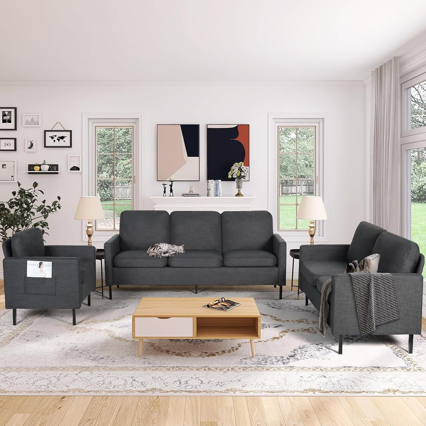 3 Piece Living Room Furniture Sets, 3 Seat Couch and Loveseat with 2 USB, Single Sofa Accent Chair, Modern Small Couches for Small Spaces, Bedroom (Dark Grey)-1