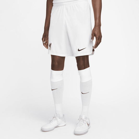 Men's Sports Shorts Nike DN2725-100-M Nike