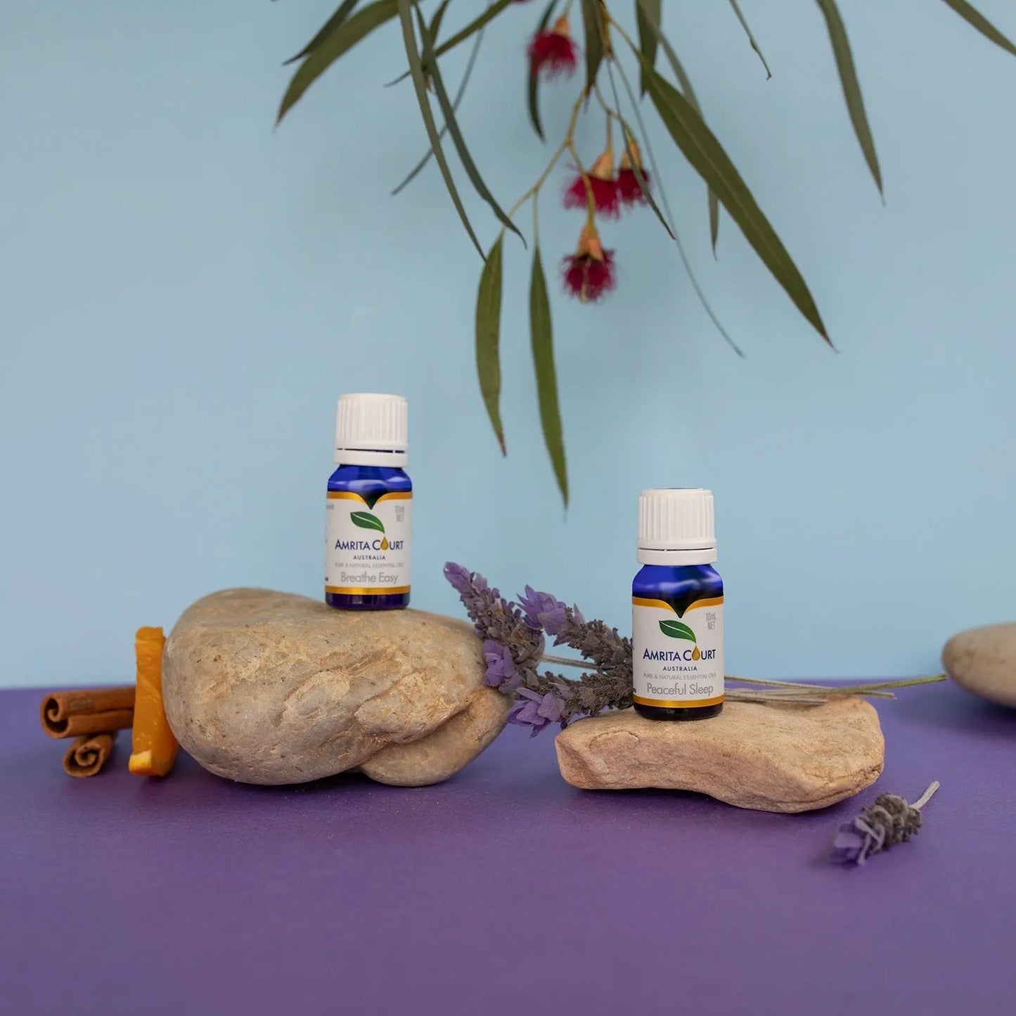 Best Sellers Essential Oil | Breathe Easy+Peaceful Sleep | Two Most Important Factors in Life Amrita Court
