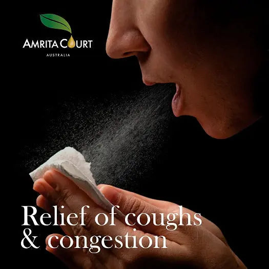 Best Sellers Essential Oil | Breathe Easy+Peaceful Sleep | Two Most Important Factors in Life Amrita Court