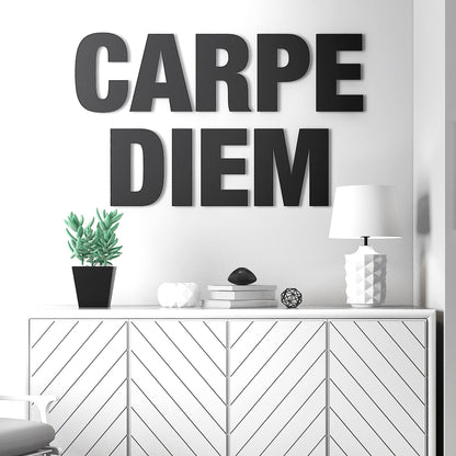 Carpe Diem - 3D Office Wall Decor-0