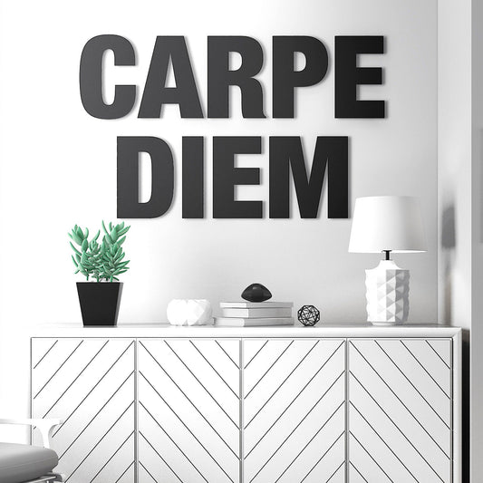 Carpe Diem - 3D Office Wall Decor-0
