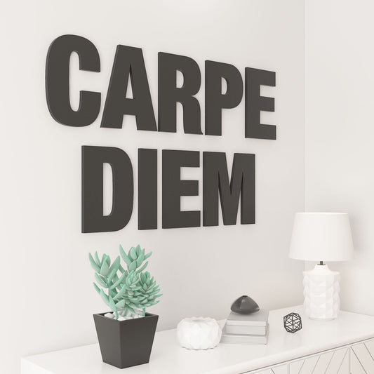 Carpe Diem - 3D Office Wall Decor-1