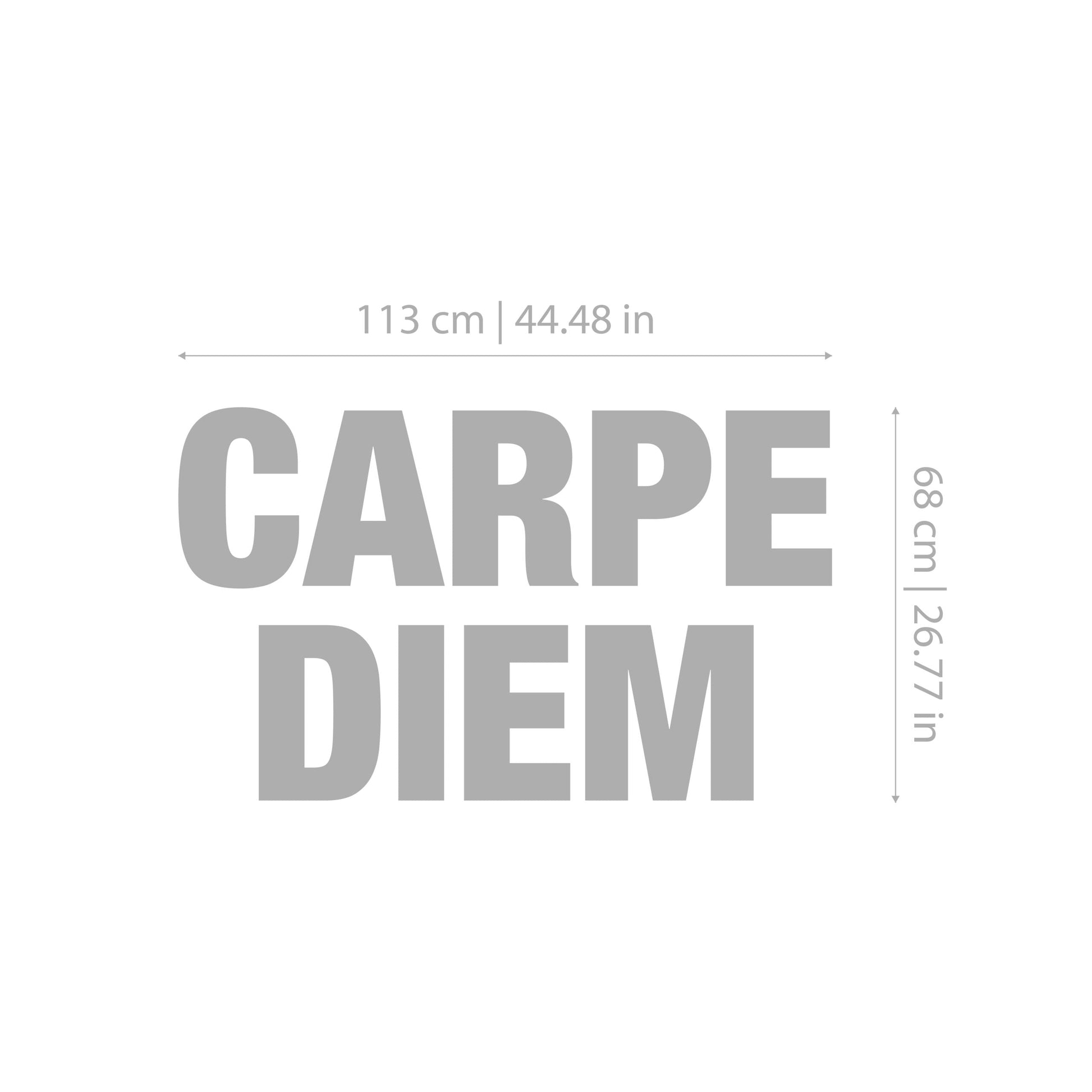 Carpe Diem - 3D Office Wall Decor-3