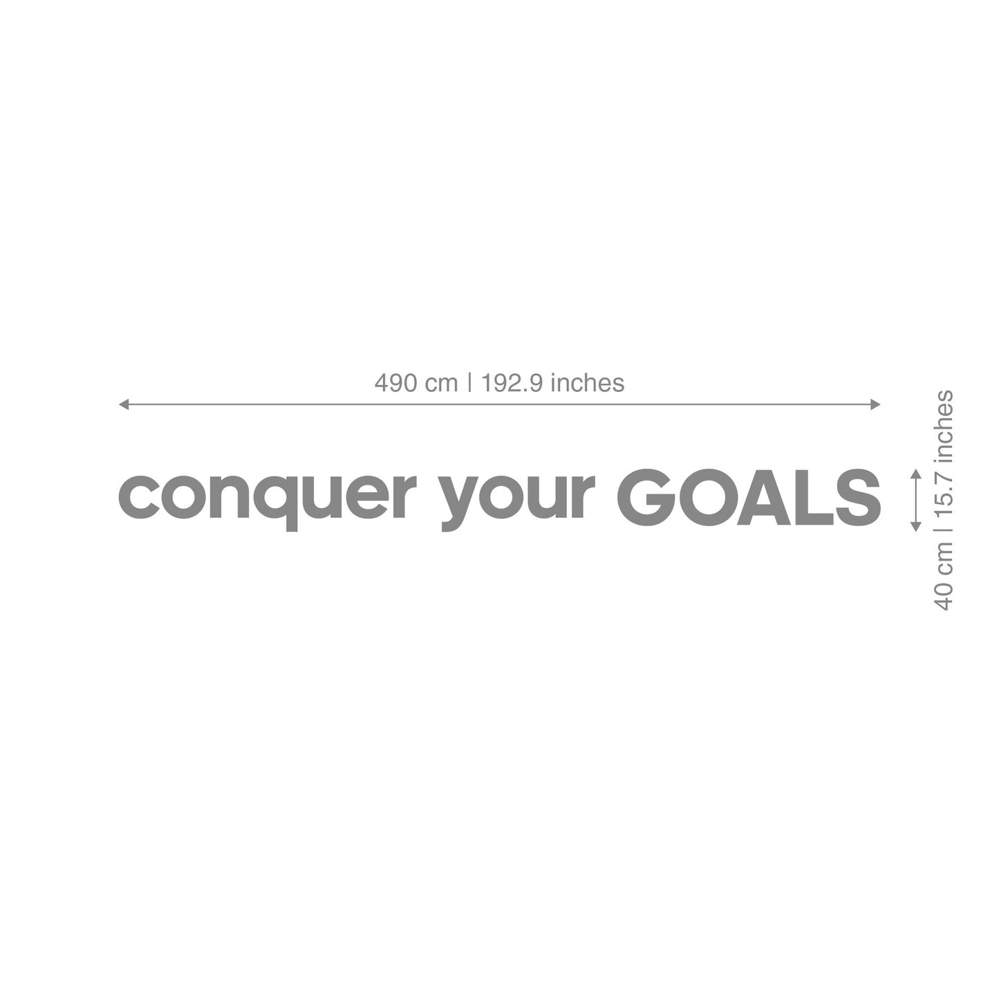 Conquer your Goals 3D Gym Decor-2
