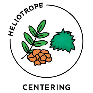 Essential Oil Blend Centering (Frankincense Moss) Heliotrope San Francisco