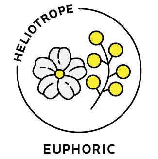 Essential Oil Blend Euphoric (Jasmine Mimosa) Heliotrope San Francisco