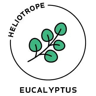 Essential Oil - Eucalyptus Heliotrope San Francisco