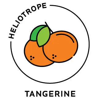 Essential Oil - Tangerine Heliotrope San Francisco