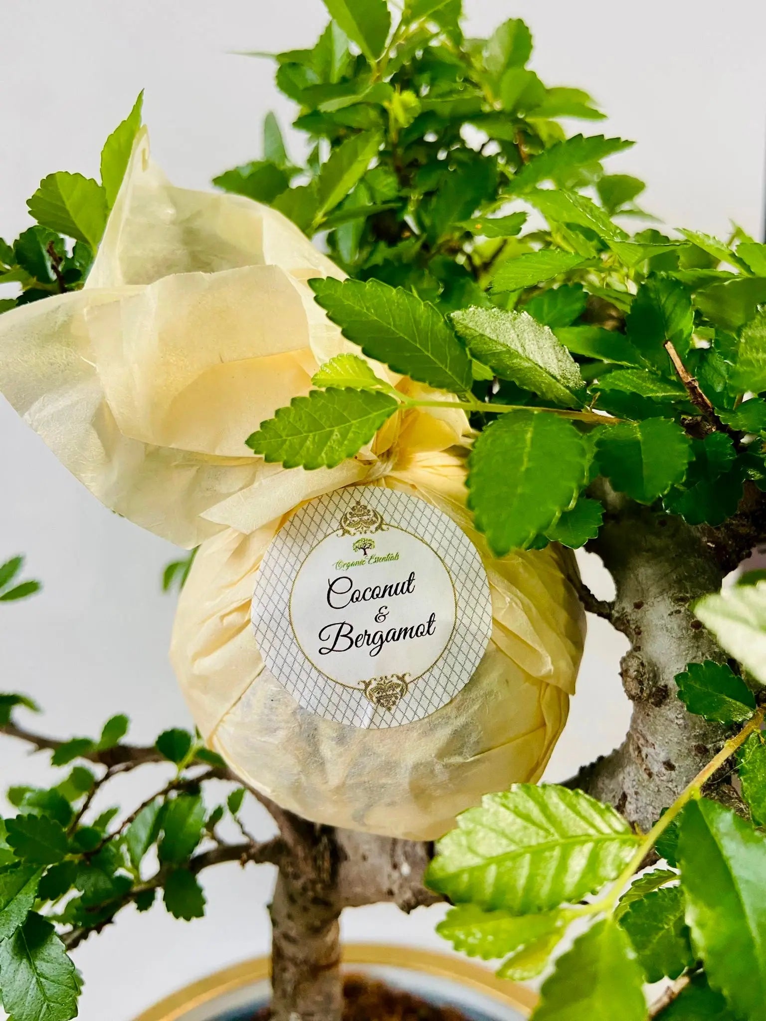 Therapeutic Bath Bomb - Organic Coconut & Bergamot Essential Oils Lydia Cosmétique