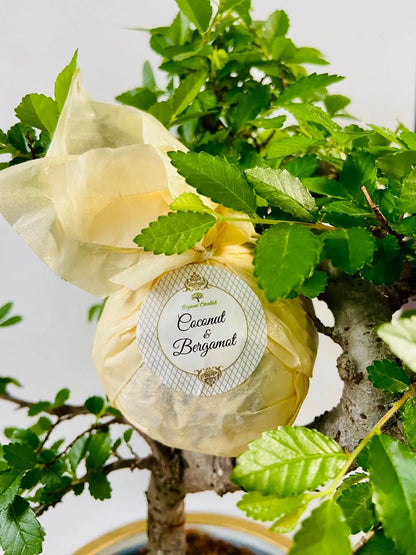 Therapeutic Bath Bomb - Organic Coconut & Bergamot Essential Oils Lydia Cosmétique