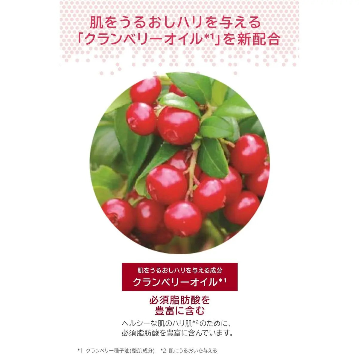 Body Lotion Melvita L'OR ROSE Melvita