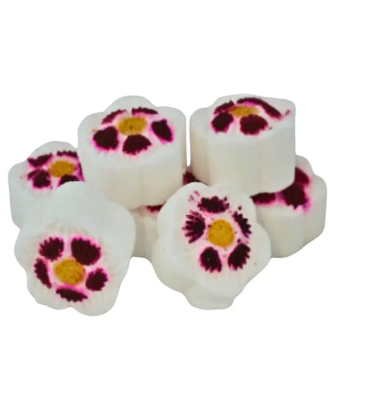 Sparkling Melonberry Shower Steamers x 20 My Store