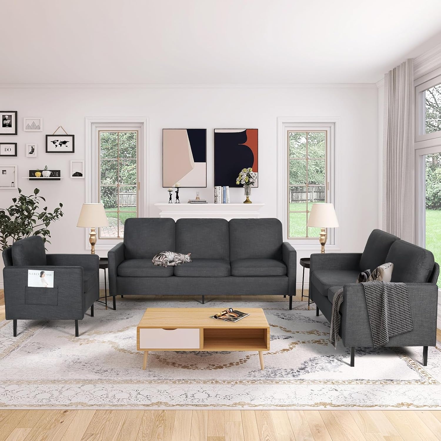 3 Piece Living Room Furniture Sets, 3 Seat Couch and Loveseat with 2 USB, Single Sofa Accent Chair, Modern Small Couches for Small Spaces, Bedroom (Dark Grey)-1